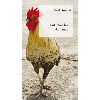 Bart chez les Flamands