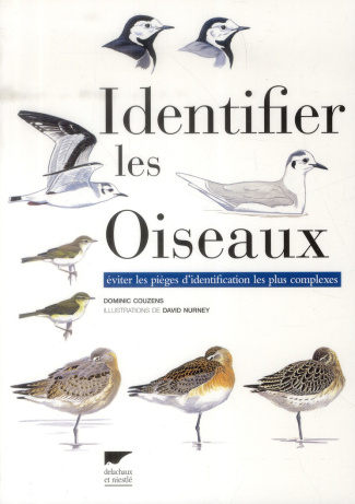 Identifier les oiseaux. Eviter les pièges d'identification les plus complexes