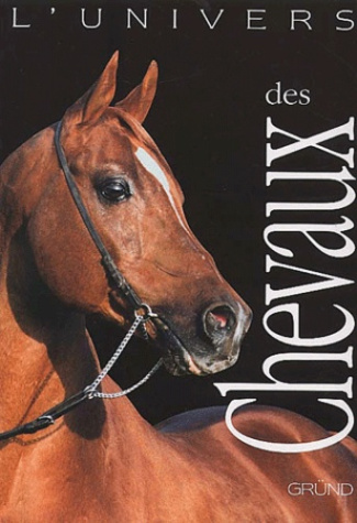 L'univers des chevaux
