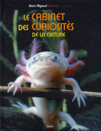 Le cabinet des curiosités de la nature