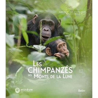 Les chimpanzés des Monts de la Lune