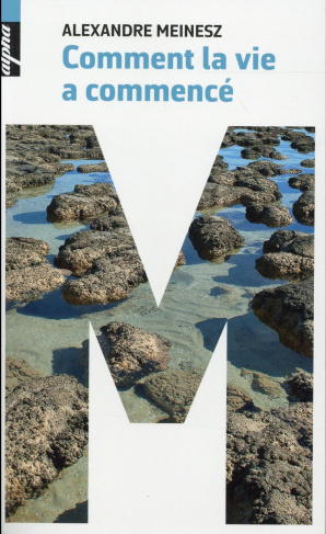 Comment la vie a commencé