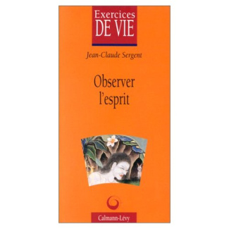 Observer l'esprit