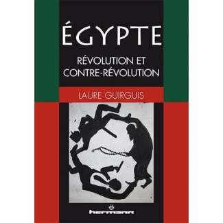 Egypte : révolution et contre-révolution