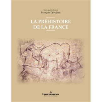 La préhistoire de la France