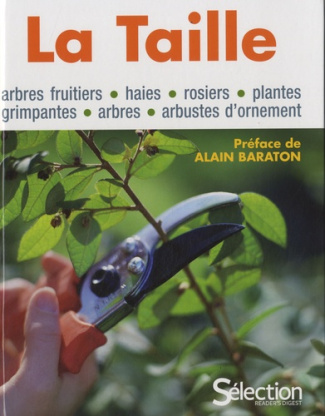 La taille