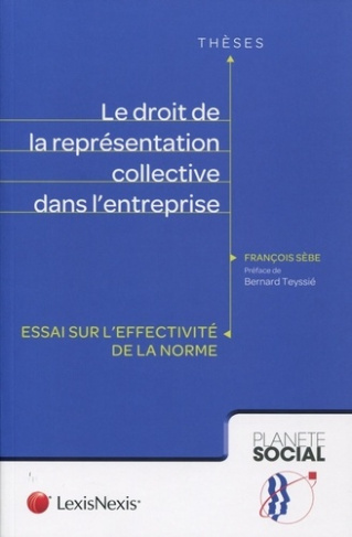 Le droit de la représentation collective dans l'entreprise. Essai sur l'effectivité de la norme