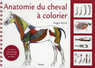 Anatomie du cheval à colorier. Une aide à l'apprentissage de l'anatomie du cheval