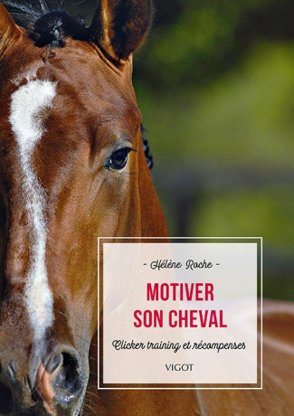 Motiver son cheval. Clicker training et récompenses