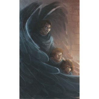 COFFRET PORTE DES ANGES (LA)  4 VOLUMES