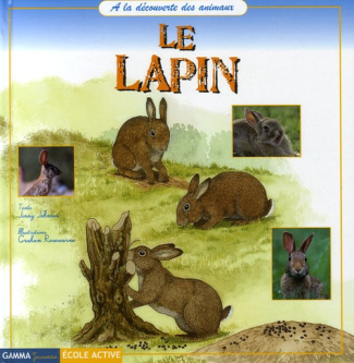 Le Lapin