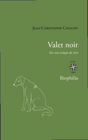 Valet noir. Vers une écologie du récit
