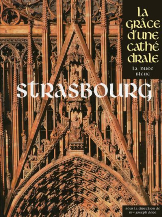 Strasbourg. La grâce d'une cathédrale
