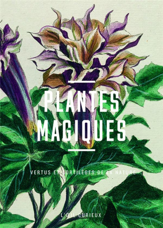 Plantes magiques. Vertus et sortilèges de la nature
