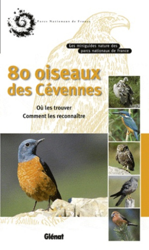 80 oiseaux des Cévennes