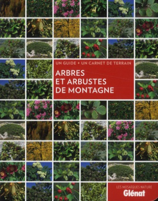 Arbres et arbustes de montagne. Un guide un carnet de terrain