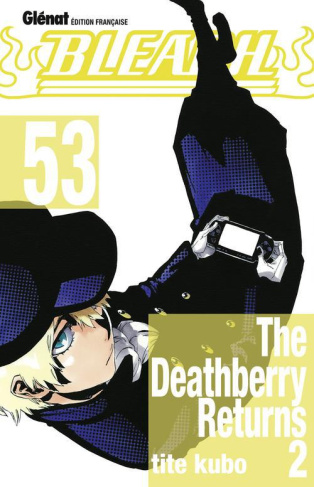 Bleach Tome 53 : The deathberry returns 2