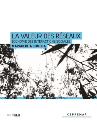 La valeur des réseaux. Economie des interactions sociales
