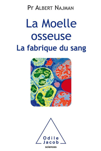 La Moelle osseuse. La fabrique du sang
