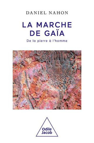 La Marche de Gaïa. De la pierre à l'homme