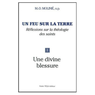 Un feu sur la terre. Tome 1, Une divine blessure