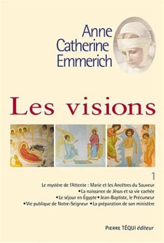 Les visions. Tome 1