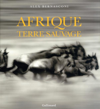 Afrique terre sauvage