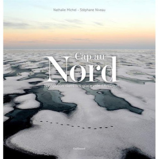 Cap au nord. Navigation dans les glaces de l'Arctique