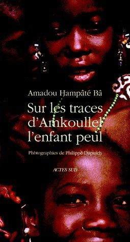 Sur les traces d'Amkoullel, l'enfant peul
