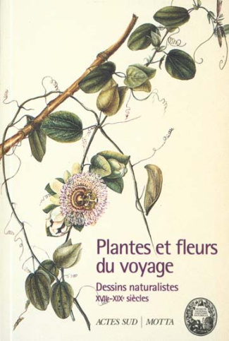 Plantes et fleurs du voyage. Dessins naturalistes XVIIème-XIXème siècles