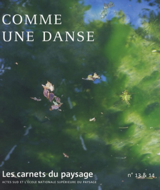 Les carnets du paysage N° 13 & 14 : Comme une danse. Avec 1 DVD