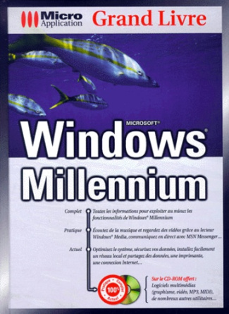 GRAND LIVRE WINDOWS MILLENNIUM