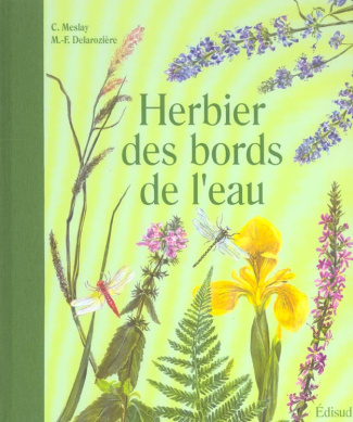 HERBIER DES BORDS DE L'EAU