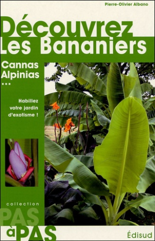 DECOUVREZ LES BANANIERS CANNAS ALPINIAS