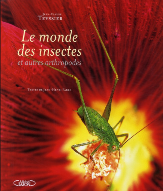 Le monde des insectes et autres arthropodes