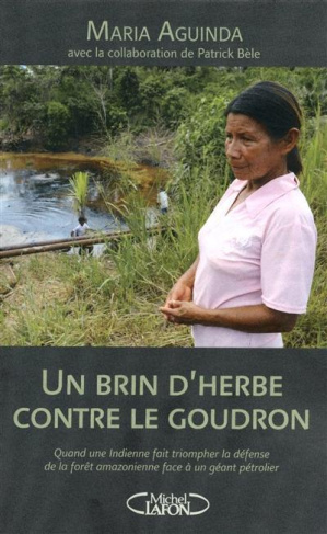 Un brin d'herbe contre le goudron