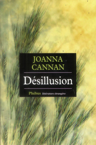 Désillusion