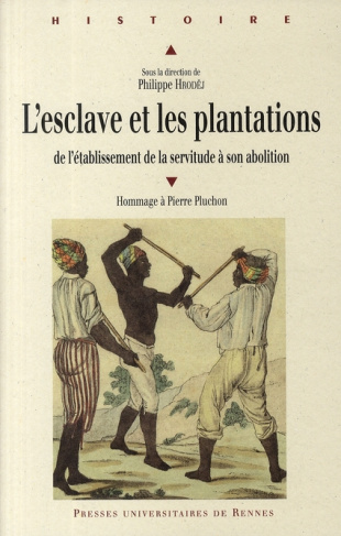 L'esclave et les plantations. De l'établissement de la servitude à son abolition