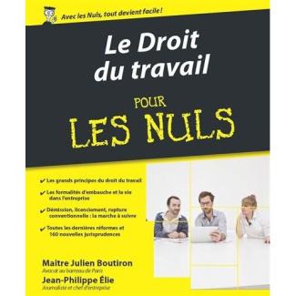 Le Droit du travail pour les nuls. 3e édition