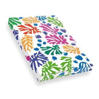 Carnet Matisse La perruche et la sirène