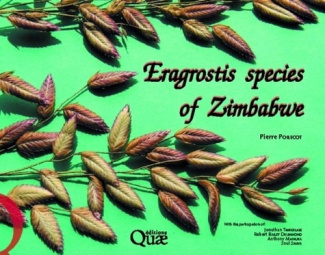 ERAGROSTIS SPECIES OF ZIMBABWE