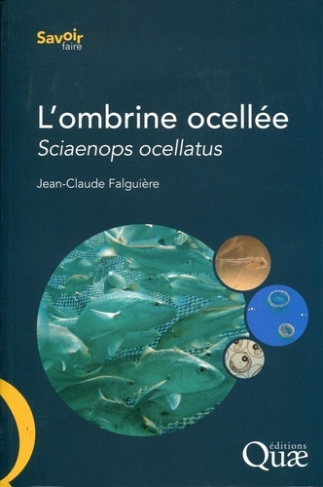 L'OMBRINE OCELLEE. SCIAENOPS OCELLATUS.