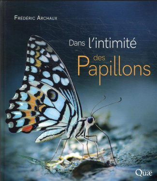 Dans l'intimité des papillons