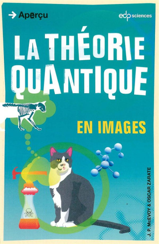 La théorie quantique en images
