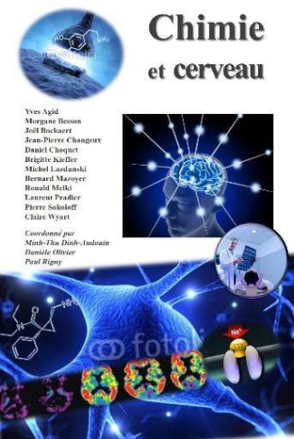 Chimie et cerveau