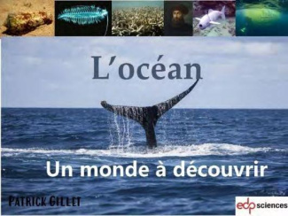 L'océan : un monde à découvrir