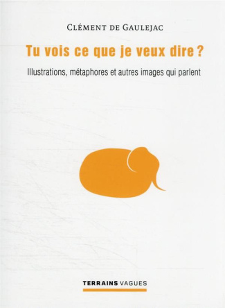 Tu vois ce que je veux dire ? Illustrations, métaphores et autres images qui parlent