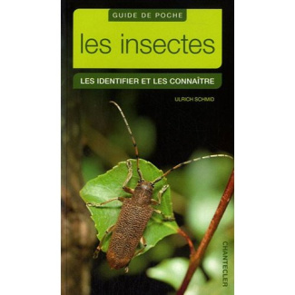Les insectes. Les identifier et les connaître