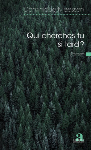 Qui cherches tu si tard ?