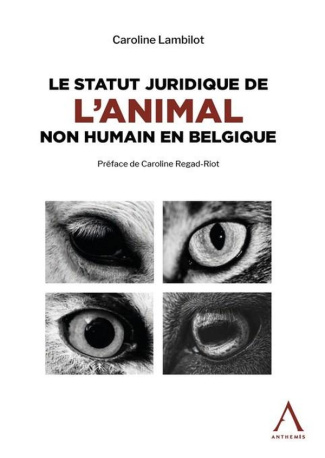 Le statut juridique de l'animal non humain en Belgique